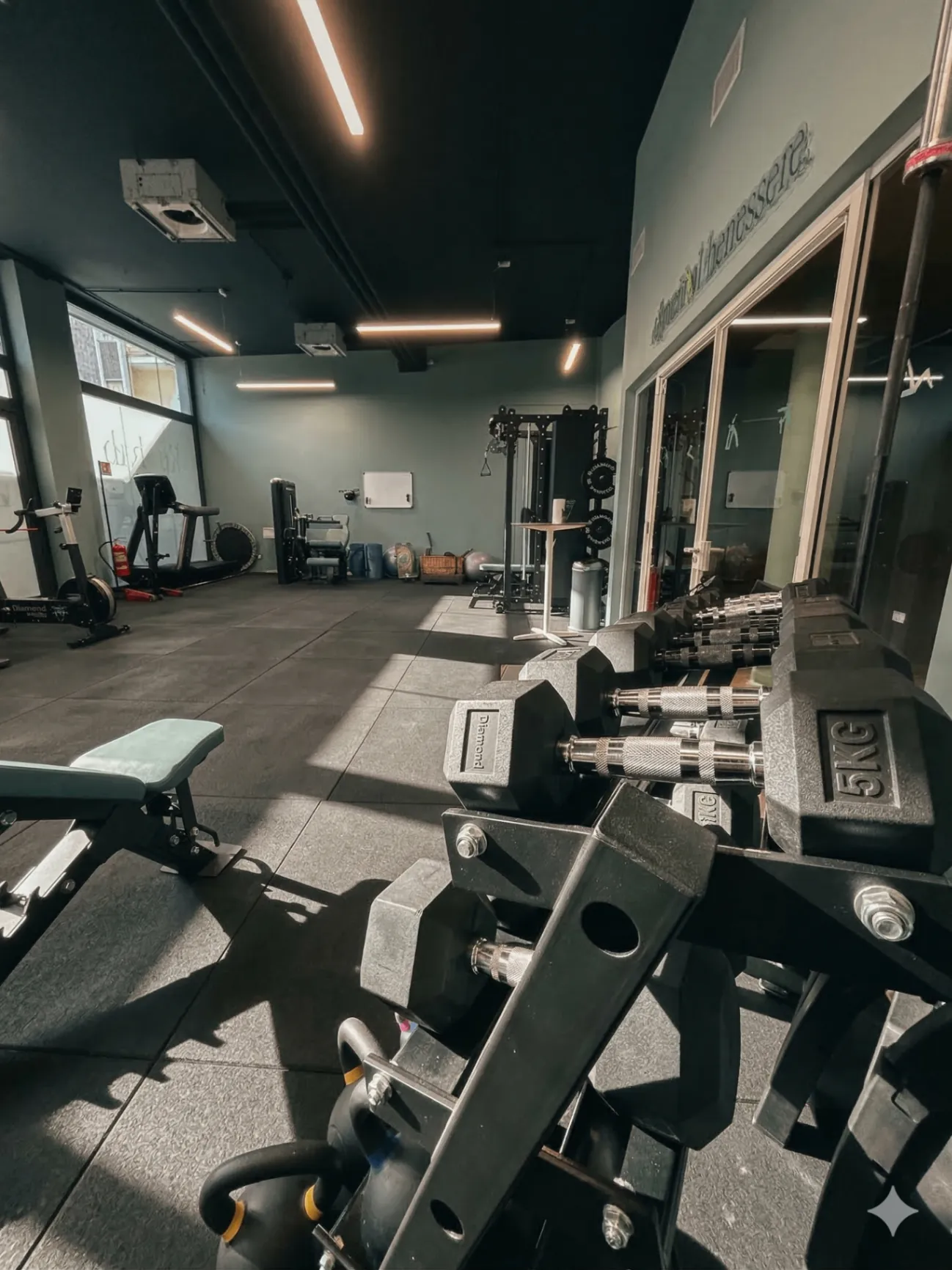 Palestra fitness Basesana - Manubri